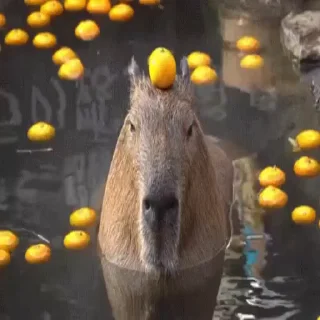 😊