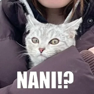 😳