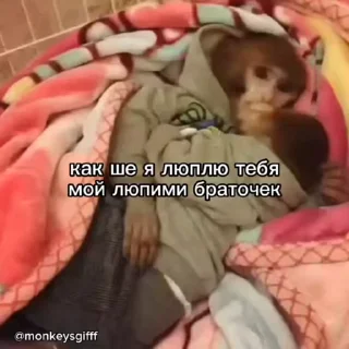 🐵