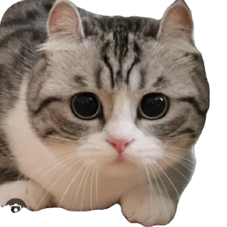 🫥