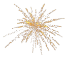 🎆