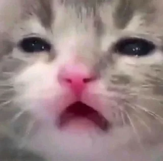 😭