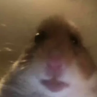 😶