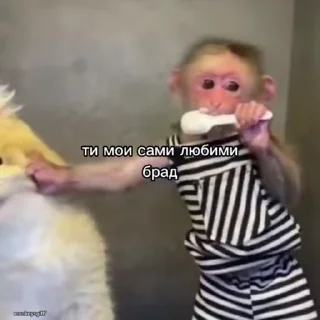 🐵