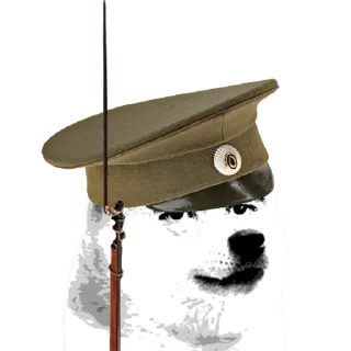 🐶