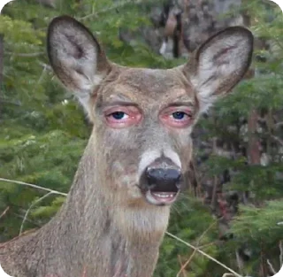 😬