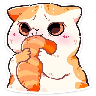 🐱