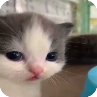 😒