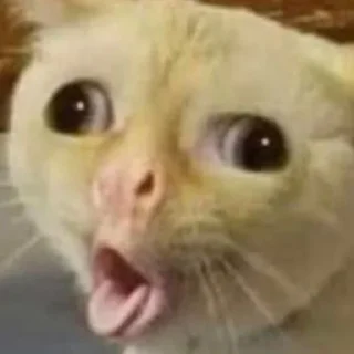 🤪