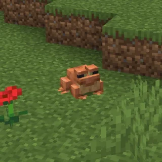 🐸