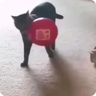 🤗