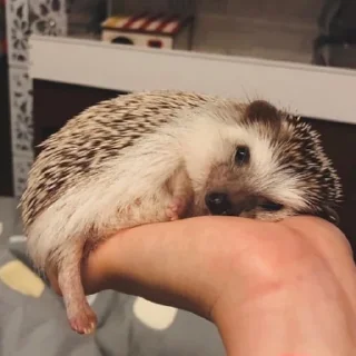 😊