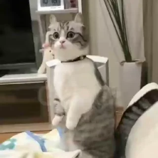 👀