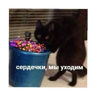 😢