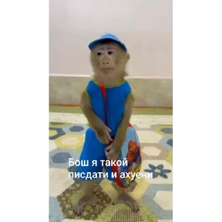 🐵