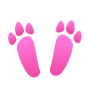 🐾