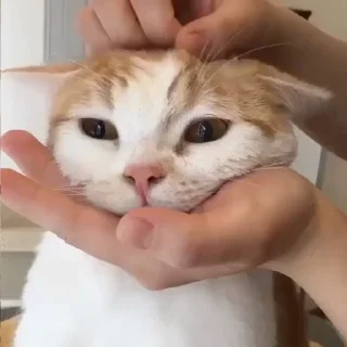 😐