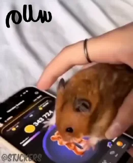 ✋