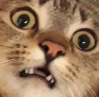 😳