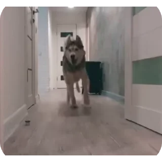 👍
