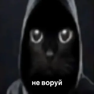 😎