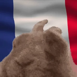 🇫🇷