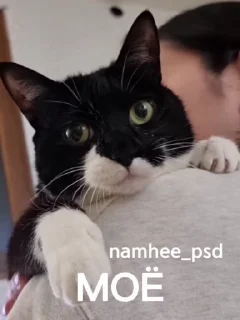 🤗