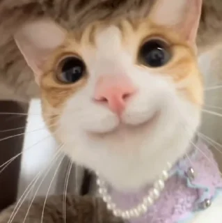 😍