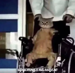 🦴