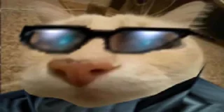 😎