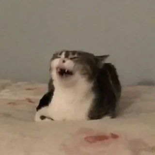 🤗