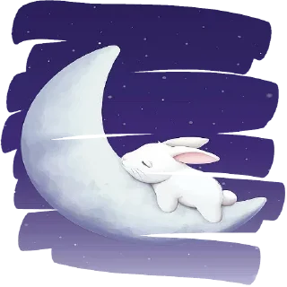 😴