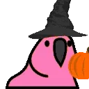 🦜