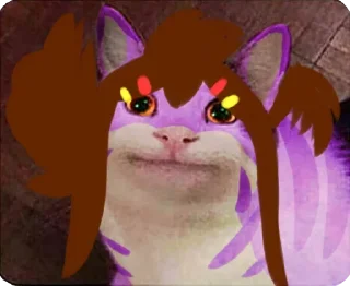 Cats Memes @stickersb2b