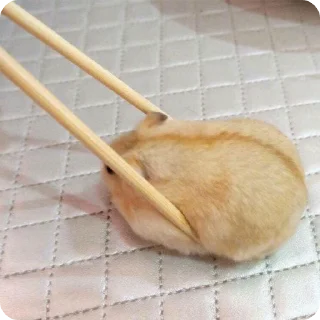 😋