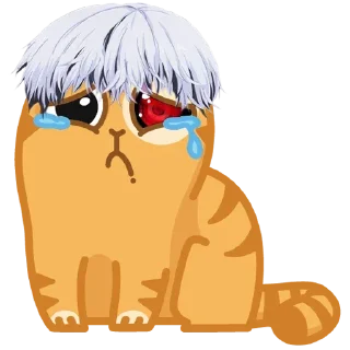 😼