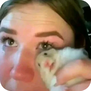 🤲