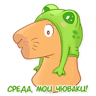 🐸