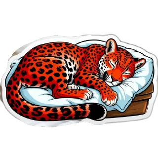 😴