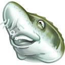 🐋