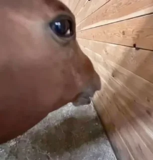 👀