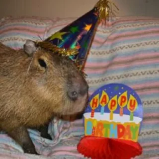 🥳