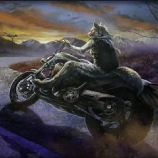 🏍️