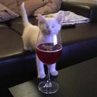 🍷