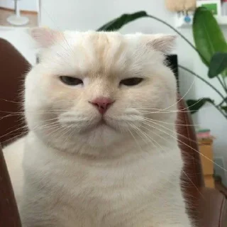 😑