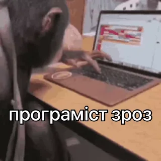 💻
