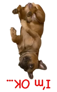 🤪