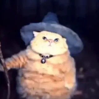 🪄
