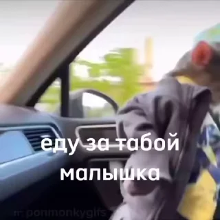 🐵