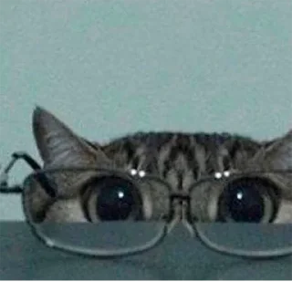 🤓